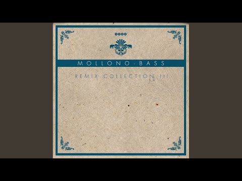 Rotterdub (Mollono.Bass and Seth Schwarz Remix)