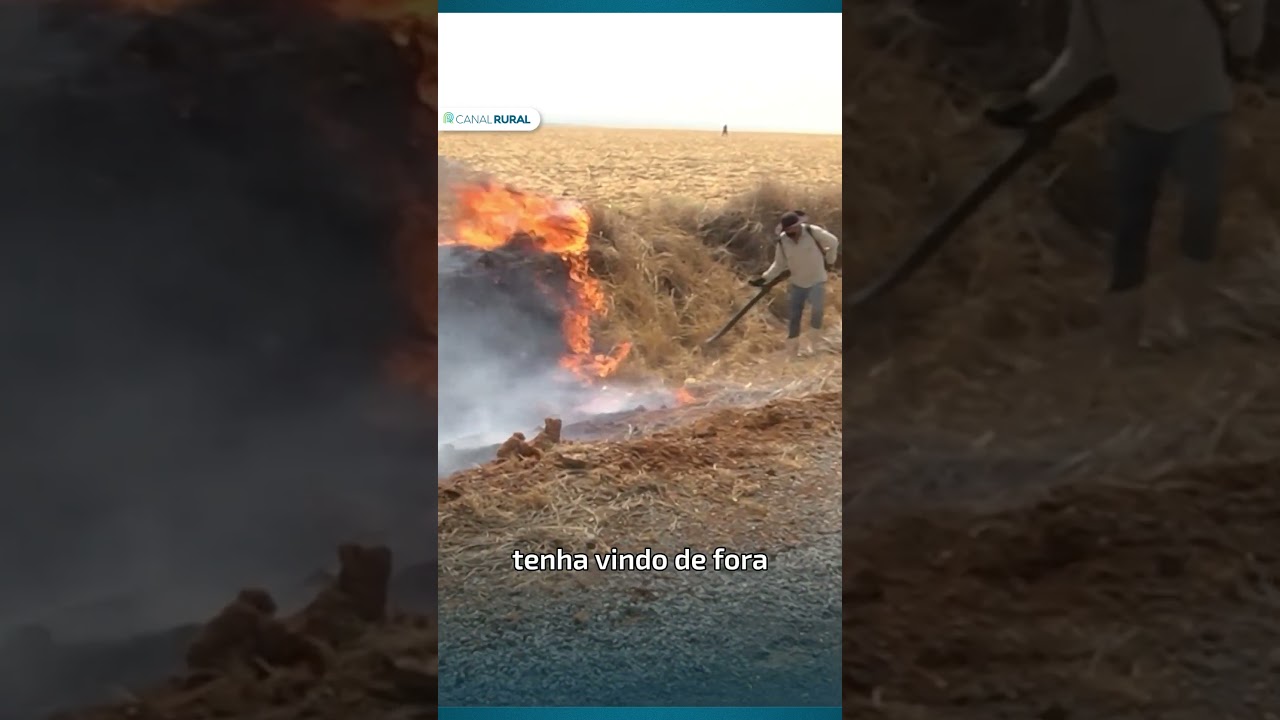 Prejuízo milionário: incêndios destroem fazendas e maquinário em Mato Grosso