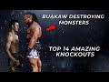 Buakaw's Brutal Knockouts Destroying Monsters