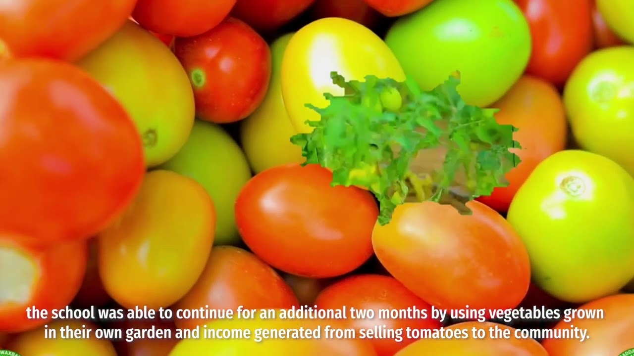 Ducumentary School Feeding Program