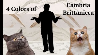 4 Colors of Cambria Brittanicca Quartz