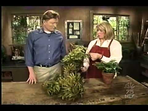 Conan O'Brien 'Martha Stewart Show (Get Crafty with Pot) 2002/5/14