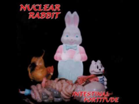 Nuclear Rabbit - Intestinal Fortitude - It's My Birthday