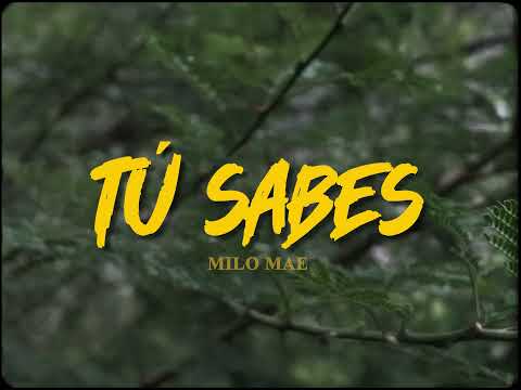 Milo Mae - TÚ SABES (Video Oficial)