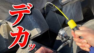 【穴釣り】エサ代0円。ダイソー釣具で化け物が釣れました