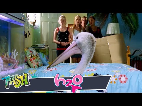 Mega Maxi Series H2O Parte 7 🧜‍♀️💕 | PASH