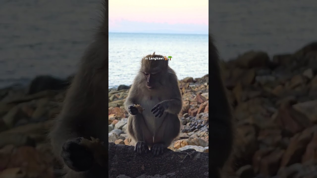 YouTube Short thumbnail