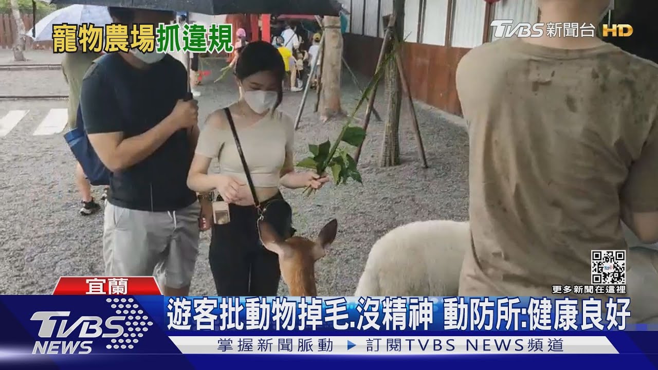 疑非法展示動物? 張美阿嬤農場:申請中