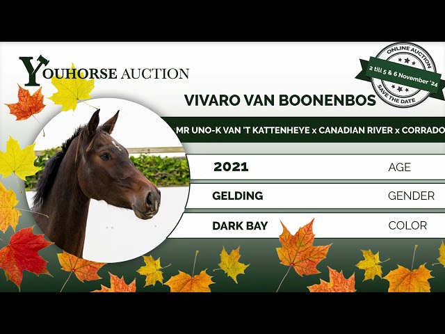 Vivaro van Boonenbos