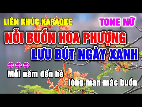 Karaoke LK Nỗi Buồn Hoa Phượng & Lưu Bút Ngày Xanh Tone Nữ Nhạc Sống gia huy beat