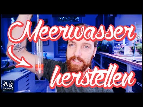 Meerwasser richtig herstellen für Aquarium | AquaOwner