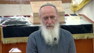 יש צד של כהונה בכל אחד מישראל – שיעור 64 – ספר במדבר