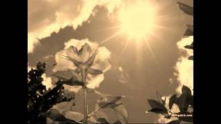 Calamine - Asleep in the Sun