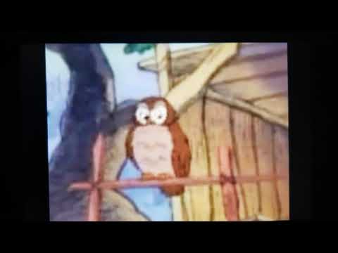 Owl - Monster Pudding