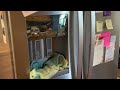 Whirlpool French Door Refrigerator Not Cooling Diagnosis and Repair