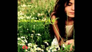 Feel the Light Britt Nicole (with lyrics)