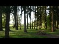 Moodscape Spa Relaxation Video - Relaxation  Pastorale