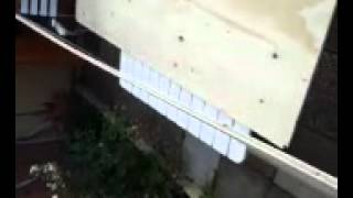 El mejor carpintero del mundo es cubano.