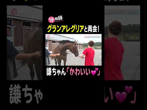 【グランアレグリア】GI6勝の名馬と謙ちゃんが再会！ #謙聞録 #netkeiba で配信中 #池添謙一 #グランアレグリア #1月生まれの名馬