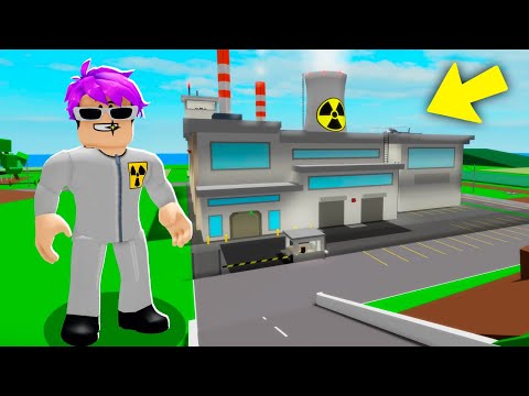 I WORKED AT THE NEW NUCLEAR POWER PLANT in BROOKHAVEN