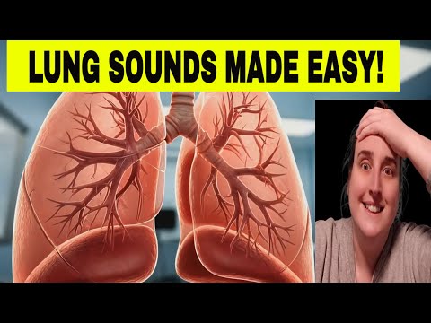 Ultimate Lung Sounds & Auscultation Guide: Crackles, Wheezes, Rhonchi, Stridor,  NCLEX & NURSING