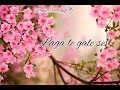 Mila To Mujhe Tu Magar Der Se Q Whatsapp Status Song