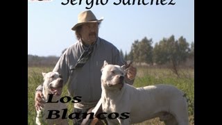 El Dogo Argentino   Los Blancos de mi Tierra   Sergio Sánchez   2013