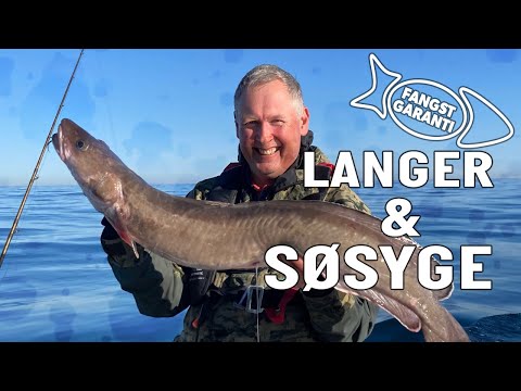 Lange, torsk og sej med fangstgaranti