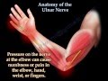 Anatomy Of The Ulnar Nerve - Everything You Need To Know - Dr. Nabil Ebraheim