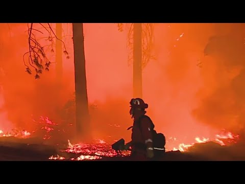 Firefighters battle Coyote Fire in El Dorado County