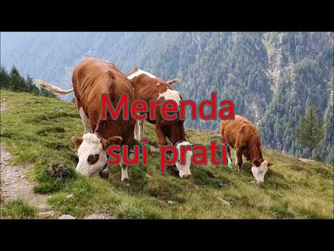 Mucche felici.  Merenda sui prati