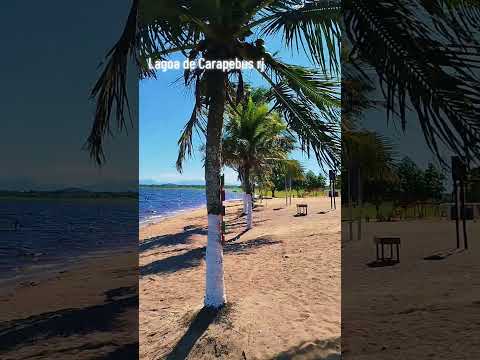 #natureza Lagoa de Carapebus RJ