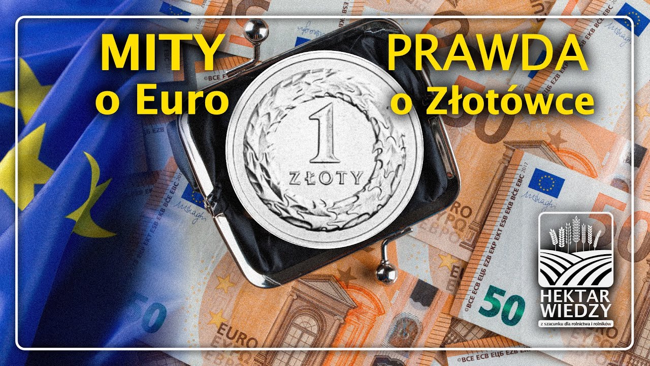 PRAWDA o Złotówce, MITY o Euro! | HEKTAR WIEDZY