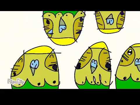 Happy birthday samanvi