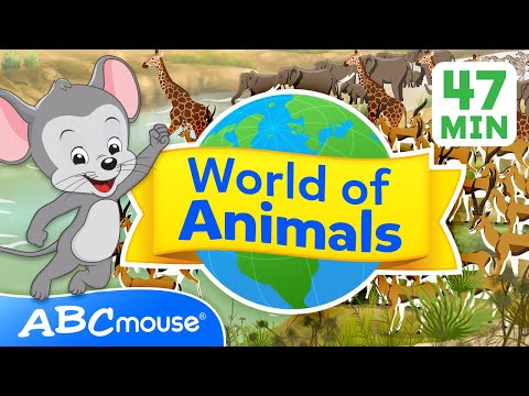 🐾 Explore the World of Animals 🌍 | 47 Minute Full Episode | Compilation for TV | ABCmouse for Kids