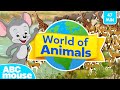 Explore The World Of Animals 47 Minute Full Episode Compilation For TV ABCmouse For Kids