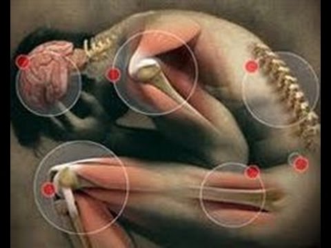 Logo of Where I can Find Multiple Sclerosis Stem Cell Treatment?