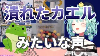 【潤羽るしあ】潰れたカエルのような声を出するしあちゃん【ホロライブ切り抜き】