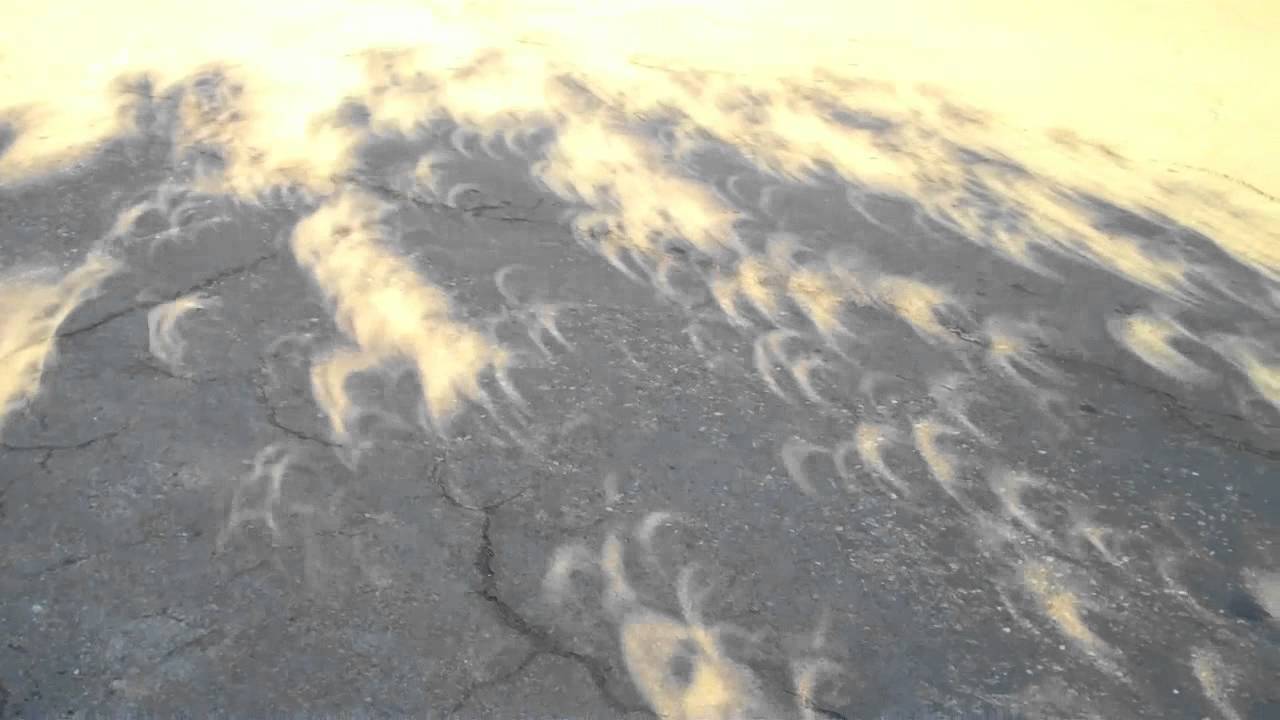 Partial Solar Eclipse Shadows May 20th 2012 HD