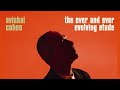 Avishai Cohen - The Ever And Ever Evolving Etude (Official Audio)