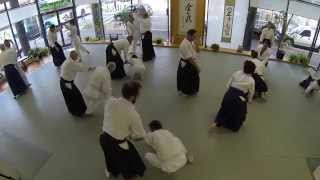 preview picture of video 'Aikido Sydney City seminar with Kadoya Sensei (AKI, Aikido Kenkyukai International)'
