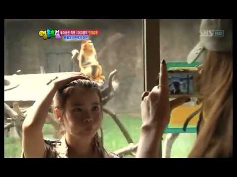 IU the chimpanzee (heroes cut)