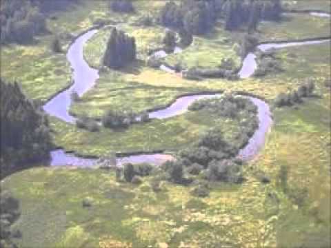 Moldva - Méta együttes:  Bétöltse szívedet