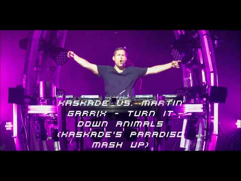 Turn It Down Animals - Kaskade Vs. Martin Garrix (Kaskade Mash Up)