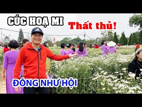 Cúc Hoạ Mi thất thủ với người đẹp tại Hà Nội | DU LỊCH HÀ NỘI
