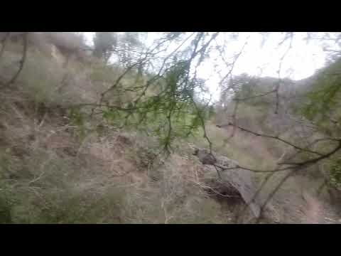 Rio caliente cuquio, rancho la cofradía