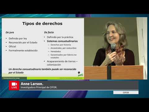 Video presentación: Elementos clave para entender los factores que afectan la seguridad  e inseguridad de la tenencia en contextos de tenencia colectiva por Anne M. Larson de CIFOR
