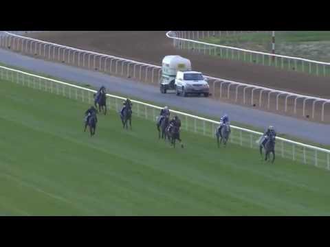 DIAR International Fillies and Mares - 04.07.16 Bro Park (SWE)