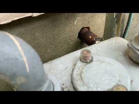 Proactive Approach Against Rodents in Brick, NJ