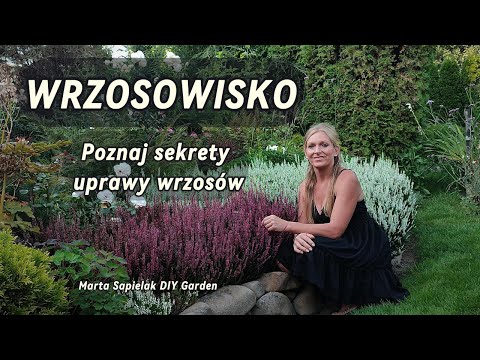 Wrzosowisko